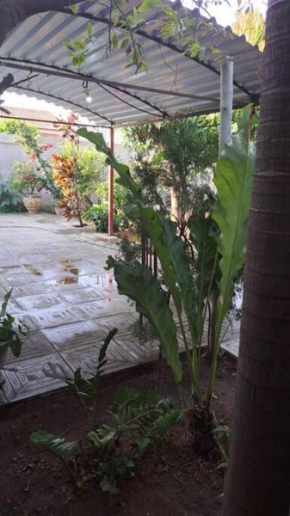 Casa Arborizada - Tranquilidade